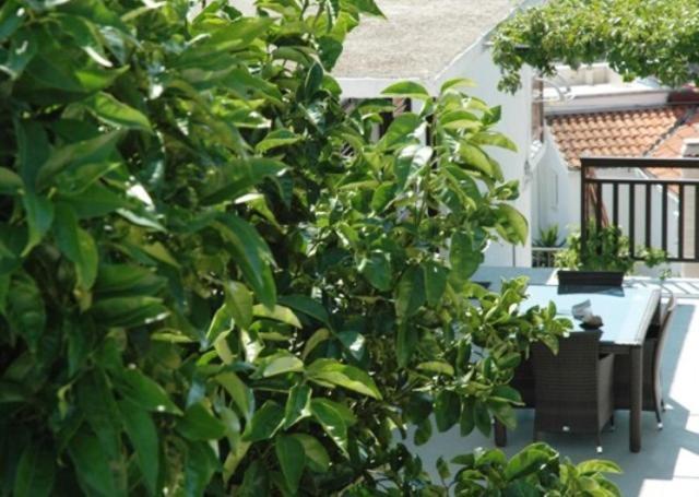 Babo Apartments Hvar Town Room photo